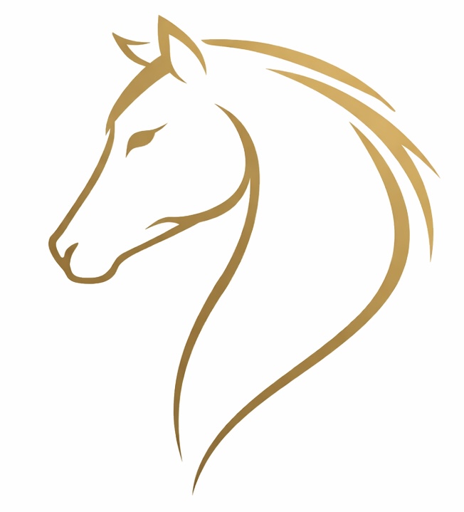 Reliance Academy horse logo